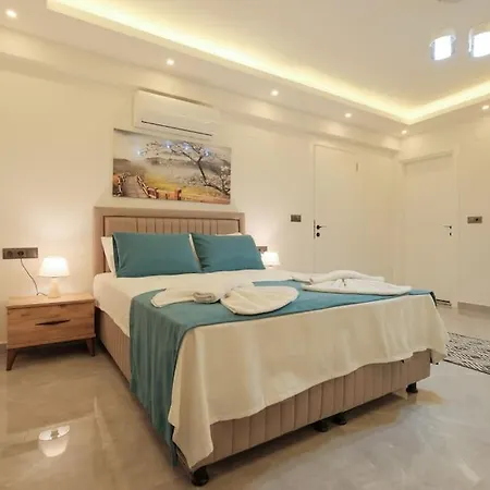 Erika 2 Fethiye